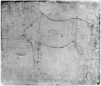 Tablou pe pânză Study of a Horse (metal point on paper)