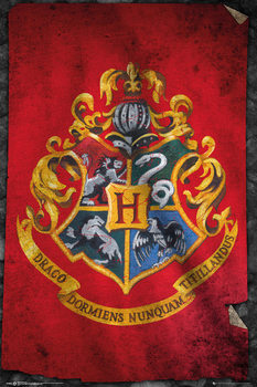 Poster Harry Potter - Hogwarts Flag