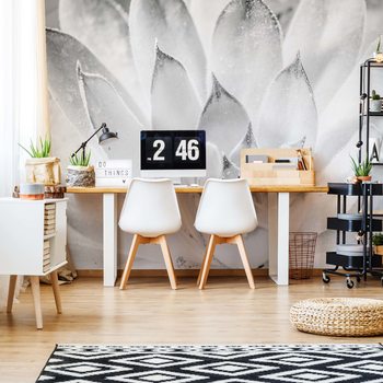 Aloe Plant Black And White Poster Mural XXL