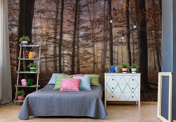 Autumn In The Forest Poster Mural XXL