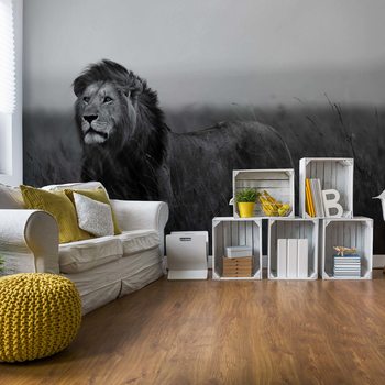 Black And White Lion Poster Mural XXL