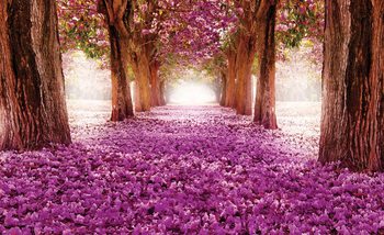 Chemin dans les Arbres en Fleur Rose Poster Mural XXL