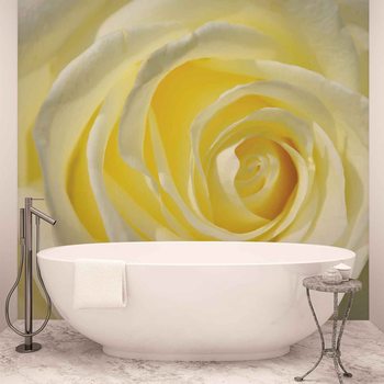 Fleur Rose Blanc Jaune Poster Mural XXL