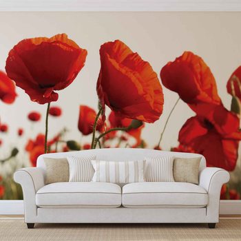Fleurs de Pavot Champs Nature Poster Mural XXL