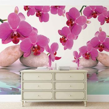Papier peint Fleurs Orchidées