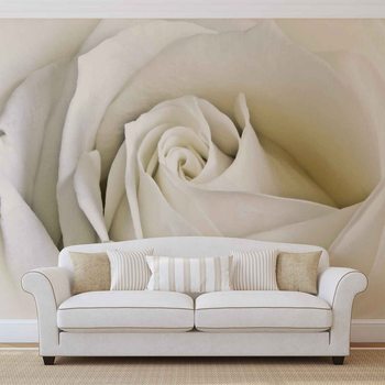 Fleurs Rose Blanc Nature Poster Mural XXL