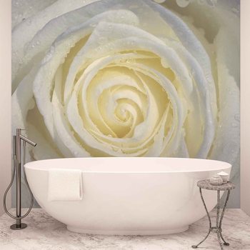 Fleurs Roses et Blanches Poster Mural XXL