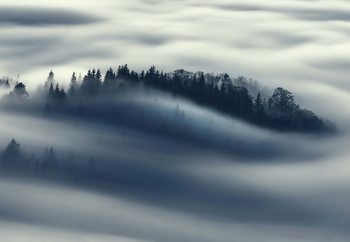 Flow Poster Mural XXL