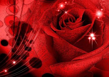 Flower Rose Abstract Poster Mural XXL