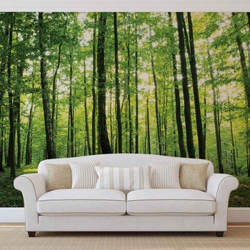 Forêt Arbres Vert Nature Poster Mural XXL