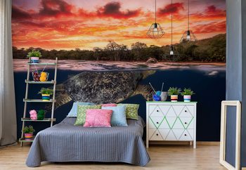 Green Turtle And Fire Sky Poster Mural XXL