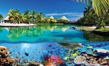 Ile Paradisiaque avec des Coraux et des Dauphins Poster Mural XXL