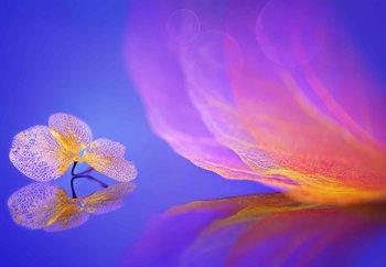 Leaf Message Poster Mural XXL