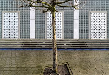 Little Tree Scape Poster Mural XXL