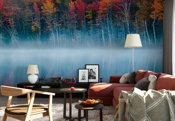 Morning Reflection Poster Mural XXL