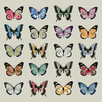 Papier peint Papillon, 2008