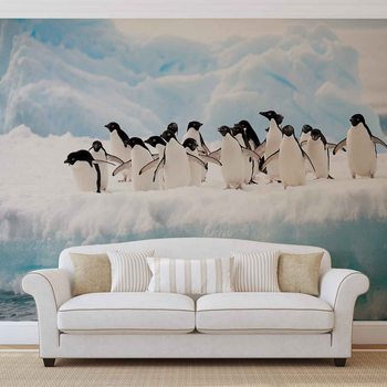 Pingouins Poster Mural XXL