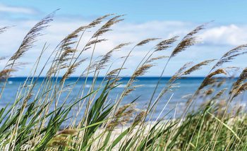 Plage Mer Sable Nature Poster Mural XXL