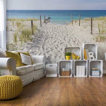 Sandy Beach Path To The Sea Coastal Poster Mural XXL