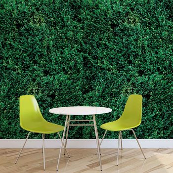 Texture Herbeuse Poster Mural XXL