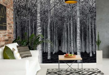 The Forest For The Trees Poster Mural XXL