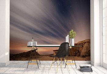 The Home Of The Stars Poster Mural XXL