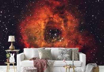 The Rose In The Sky Poster Mural XXL