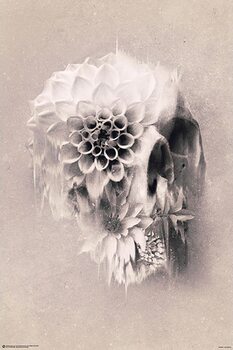 Poster Ali Gülec - Decay Skull