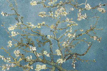 Poster Almond Blossoms