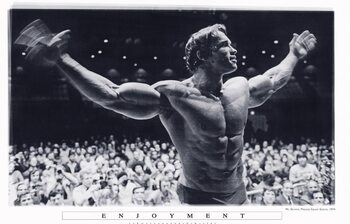 Плакат Arnold Schwarzenegger - Enjoyment