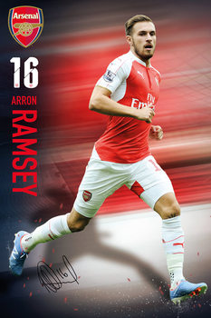 Poster Arsenal - players 12/13  Wall Art, Gifts & Merchandise