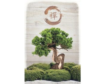 Poster  Bonsai Zen