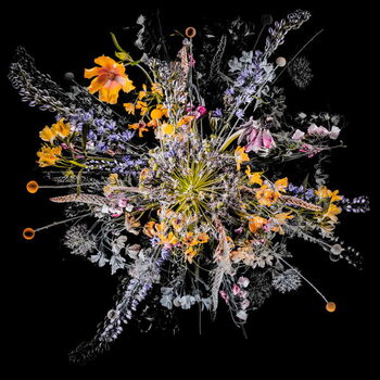 Poster Bouquet VII, 2018