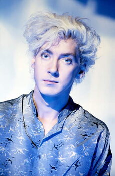 Poster Budgie - portrait