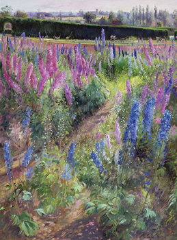 Schilderij op canvas Delphiniums and Hoers, 1991