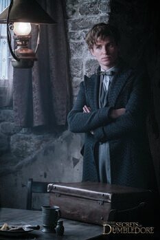Poster Fabeldieren en waar ze te vinden - Newt Scamander