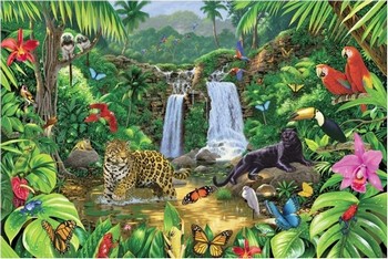 Poster Harmony - rainforest