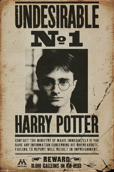 Póster HARRY POTTER - Undesirable n1