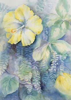 Poster Hibiscus, yellow