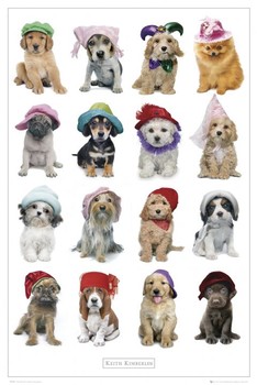Poster Keith Kimberlin - hats