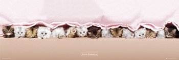Poster Keith Kimberlin - kittens
