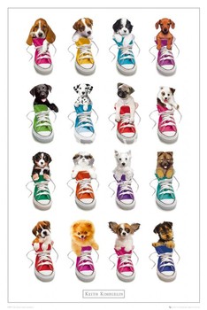 Poster Keith Kimberlin – sneakers