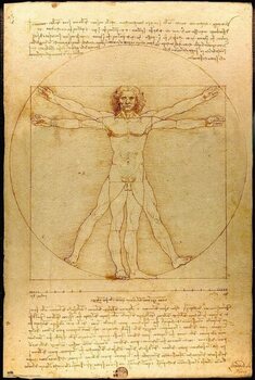 Плакат Leonardo Da Vinci - Vitruvian Man