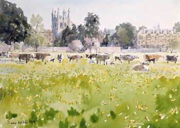 Poster Looking Across Christ Church Meadows, 1989