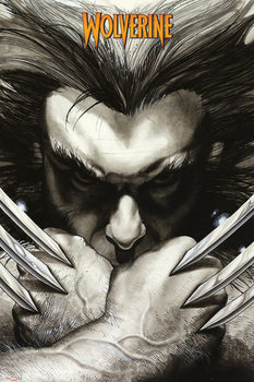 Poster MARVEL EXTREME - wolverine claws