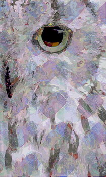 Schilderij op canvas Owl3