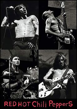 Póster Red hot chili peppers Live