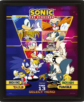 Poster Sonic The Hedgehog - Select Your Fighter