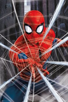 Póster Spider-Man - Gotcha!