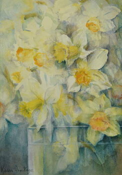 Poster Spring Time, mixed daffodils in tank No 3., Mrs Krelage, Ice Follies and Fortune